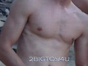 2bigtoy4u