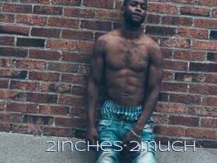 2inches_2much