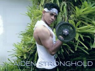 AIDEN_STRONGHOLD