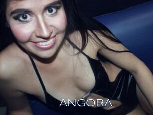 ANGORA
