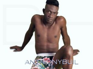ANTHONYBUIL