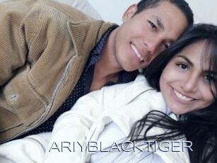 ARIYBLACKTIGER