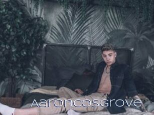 AaronCosgrove