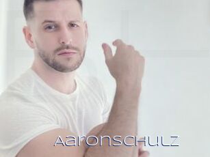 AaronSchulz