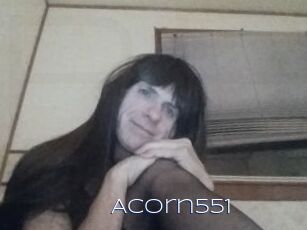Acorn551