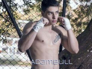 AdamBull
