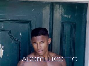 AdamLucatto