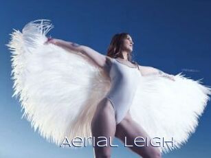 Aerial_Leigh Blue Hot