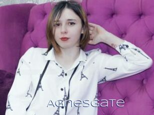 AgnesGate Blue Hot