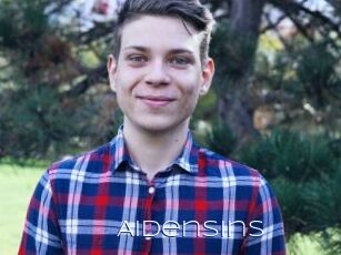 AidenSins