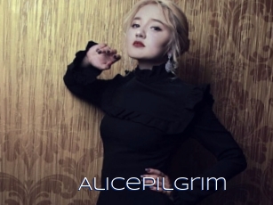 AlicePilgrim Blue Hot