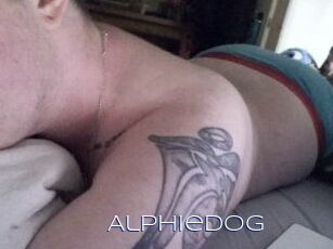 Alphie_Dog