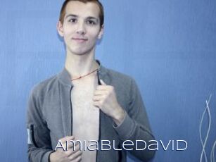 AmiableDavid