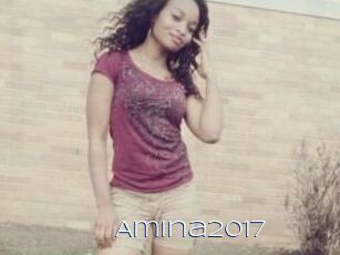 Amina2017