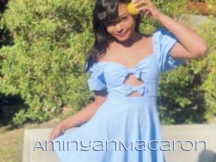 AminyanMacaron