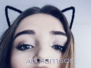 An_Harrison