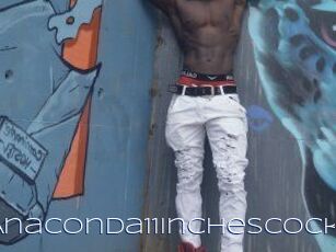 Anaconda11inchescock