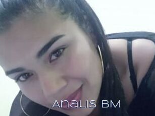 Analis_BM