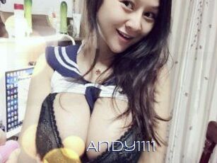Andy1111