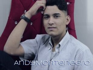 AndyMontenegro