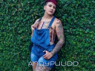 AndyPulido