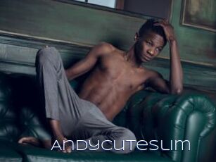 Andycuteslim