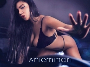 Anieminori