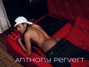 Anthony_Pervert