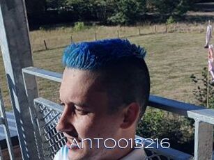 Anto013216