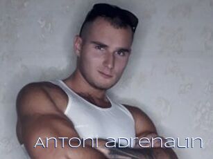 Antoni_adrenal1n