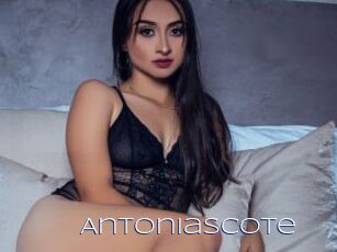 AntoniaScote