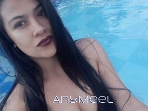AnyMeel
