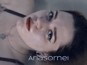 AriaSornei
