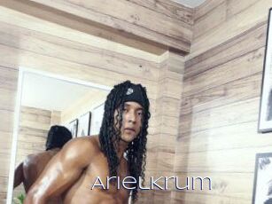 ArielKrum