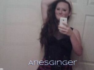 AriesGinger