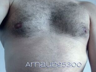 Arnaud95300