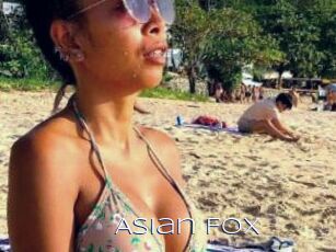Asian_Fox