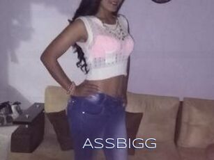 Assbigg