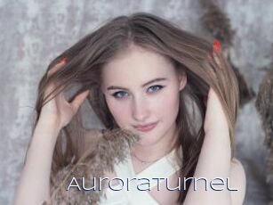 AuroraTurnel