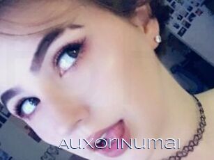 AuxoriNumai