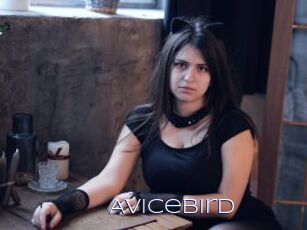 AviceBird