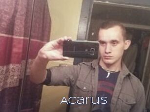 Acarus