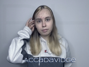 Accadavidge