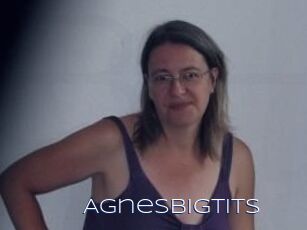 Agnesbigtits