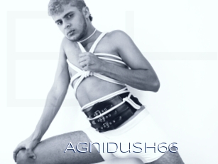 Agnidush66