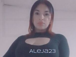 Aleja23