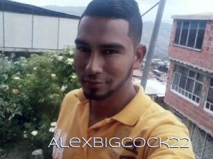 Alexbigcock22