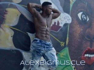 Alexbigmuscle