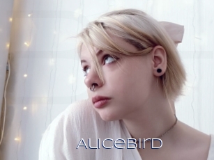 Alicebird