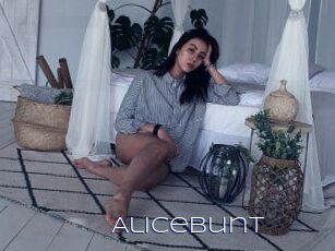 alicebunt Blue Hot